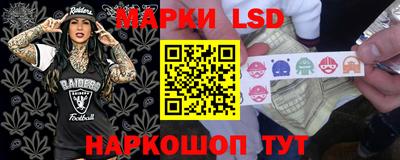 гидропоника Будённовск