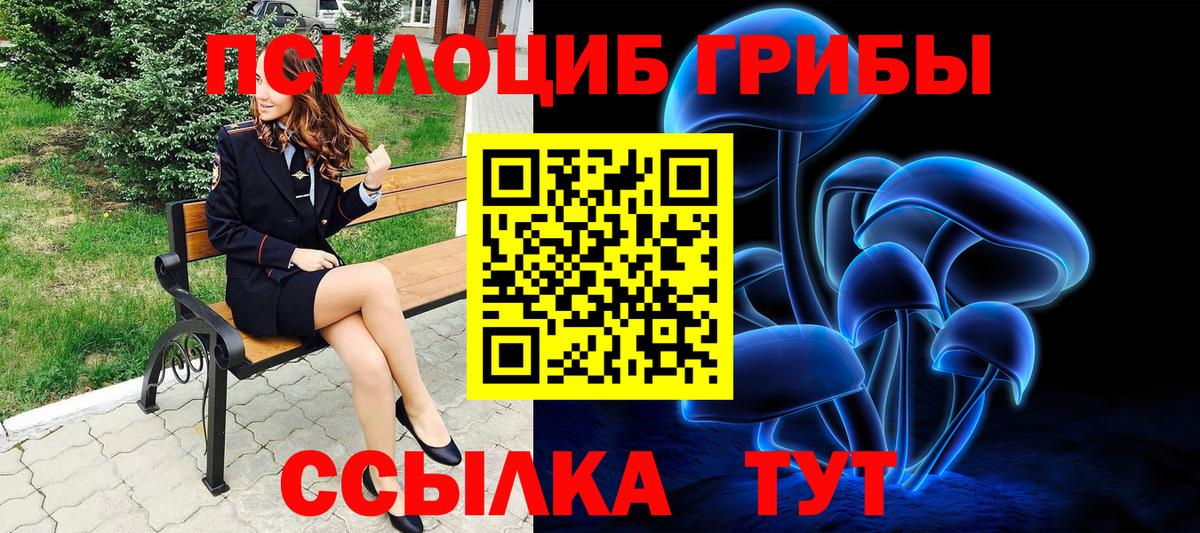 Северобайкальск  Галлюциногенные грибы ЛСД  Вход с VPN 