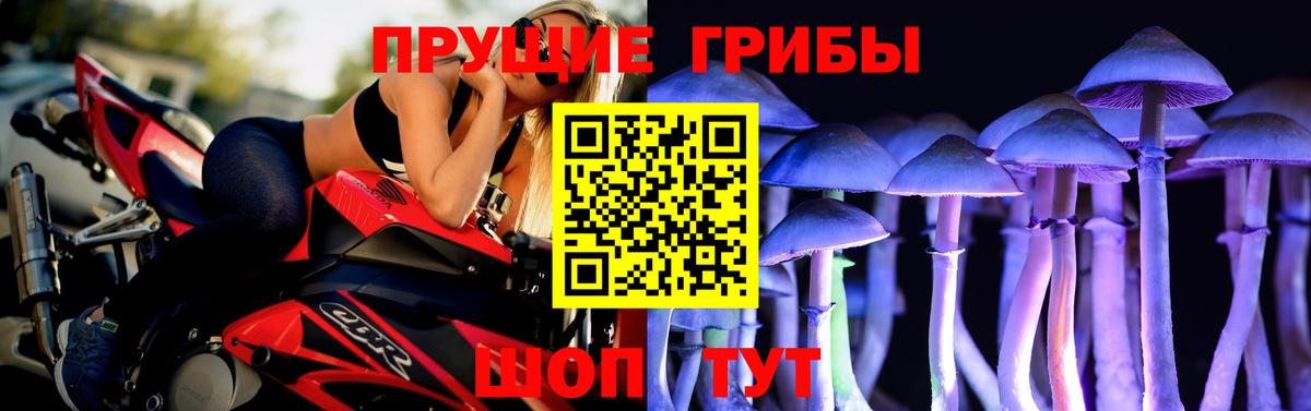 Галлюциногенные грибы MAGIC MUSHROOMS Северобайкальск