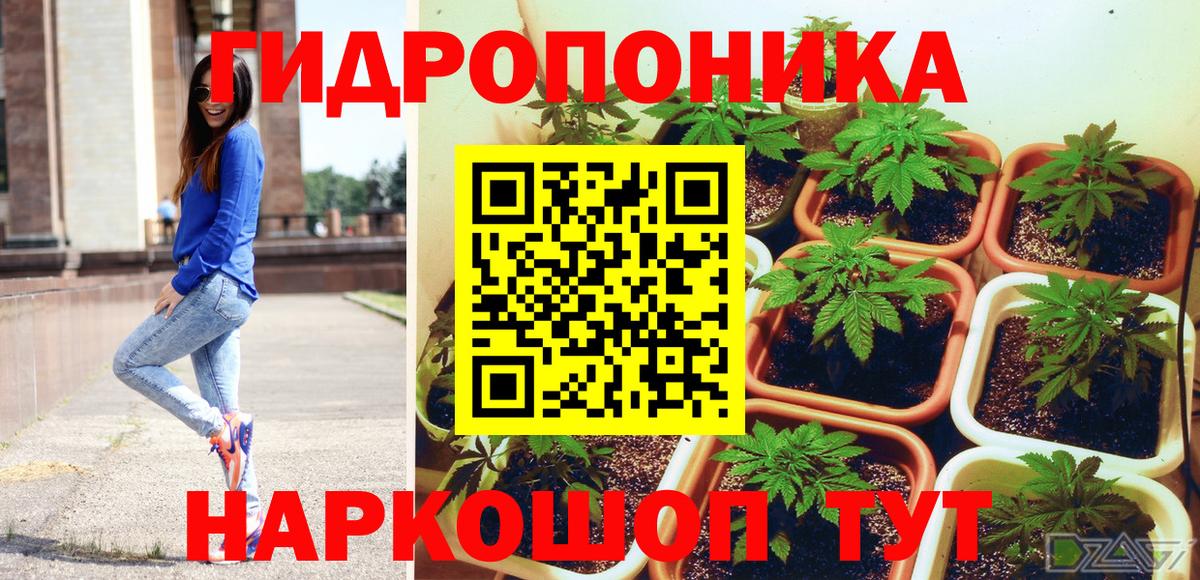 Канабис гибрид  Вход с VPN  Северобайкальск  Бошки Шишки планчик  Канабис OG Kush 